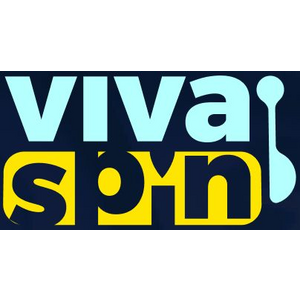 VivaSpin Casino logo
