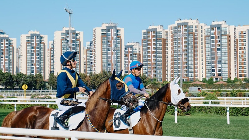 Navan faces Saturday check ahead of Sunday card